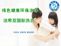 首届匈牙利洗涤研讨会匈牙利成功